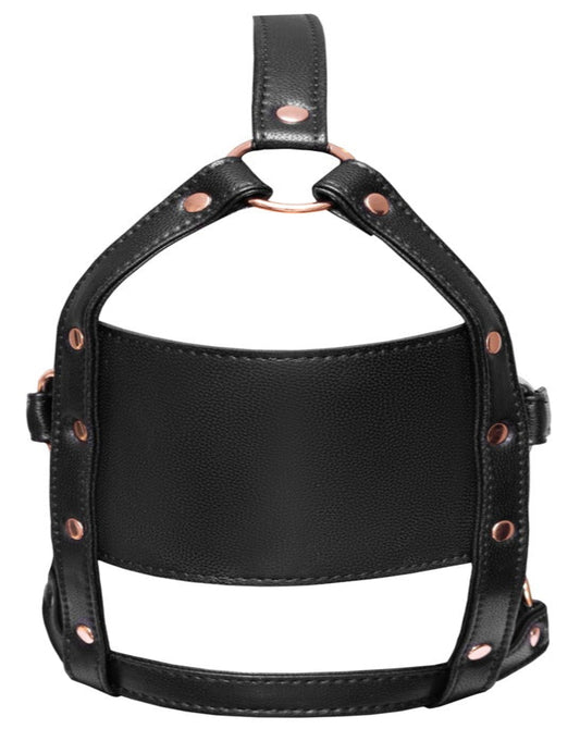 Head Harness with a Gag