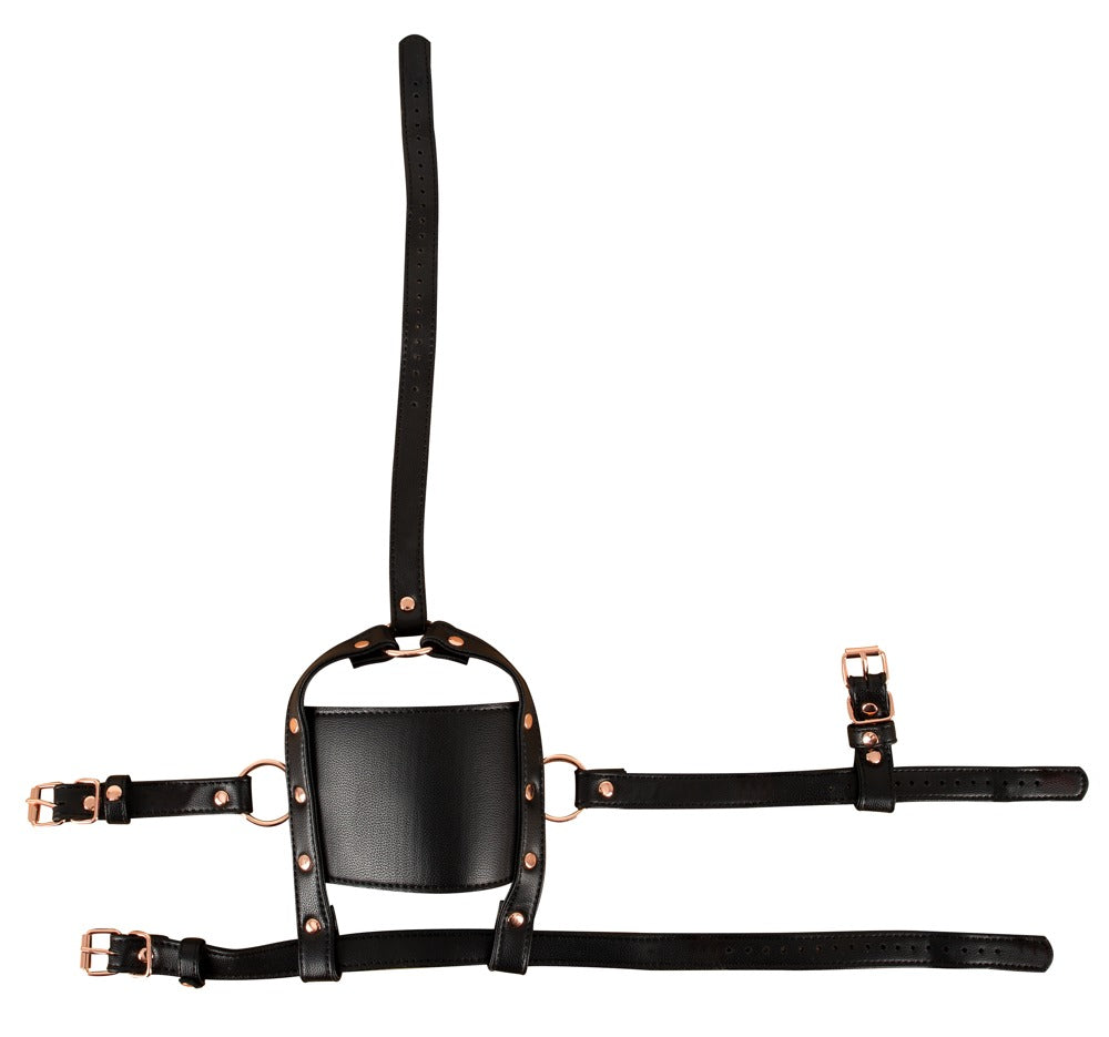 Head Harness with a Gag