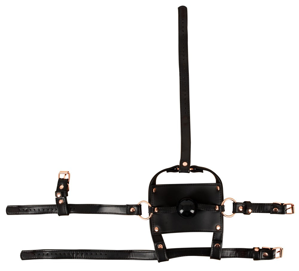 Head Harness with a Gag