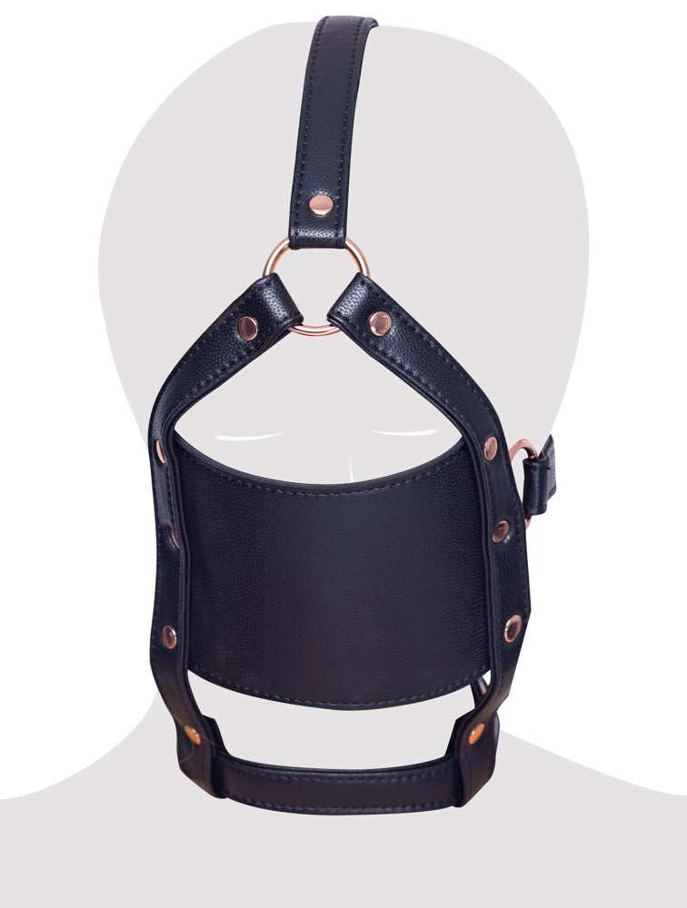 Head Harness with a Gag