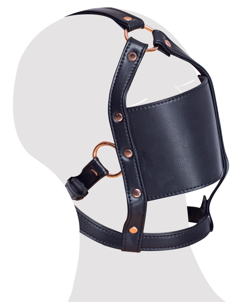 Head Harness with a Gag