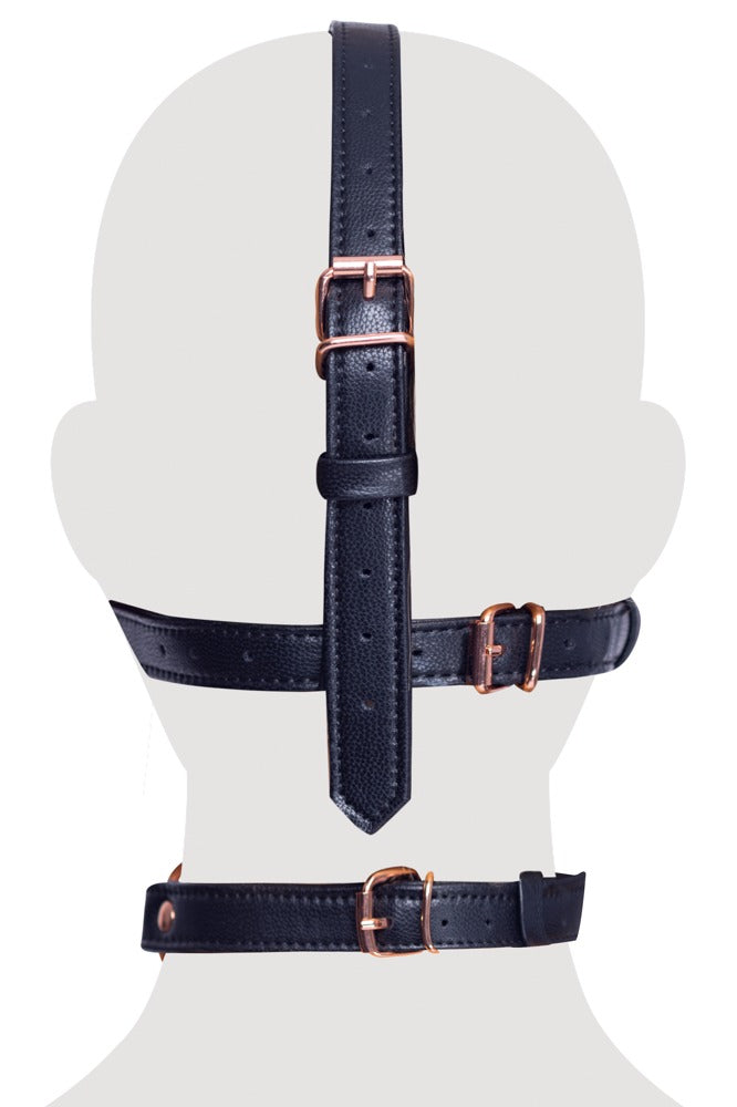 Head Harness with a Gag